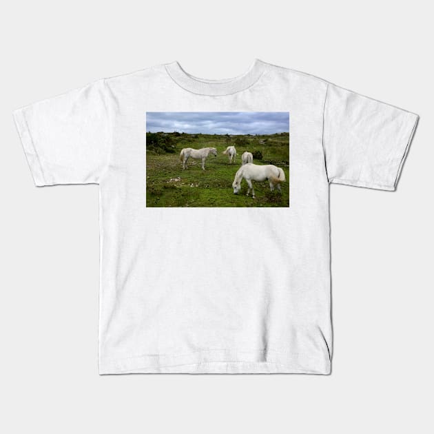 Free horses in Ireland Kids T-Shirt by annalisa56